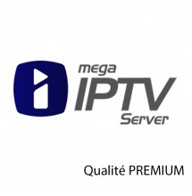 Abonnement Megaott 12 mois